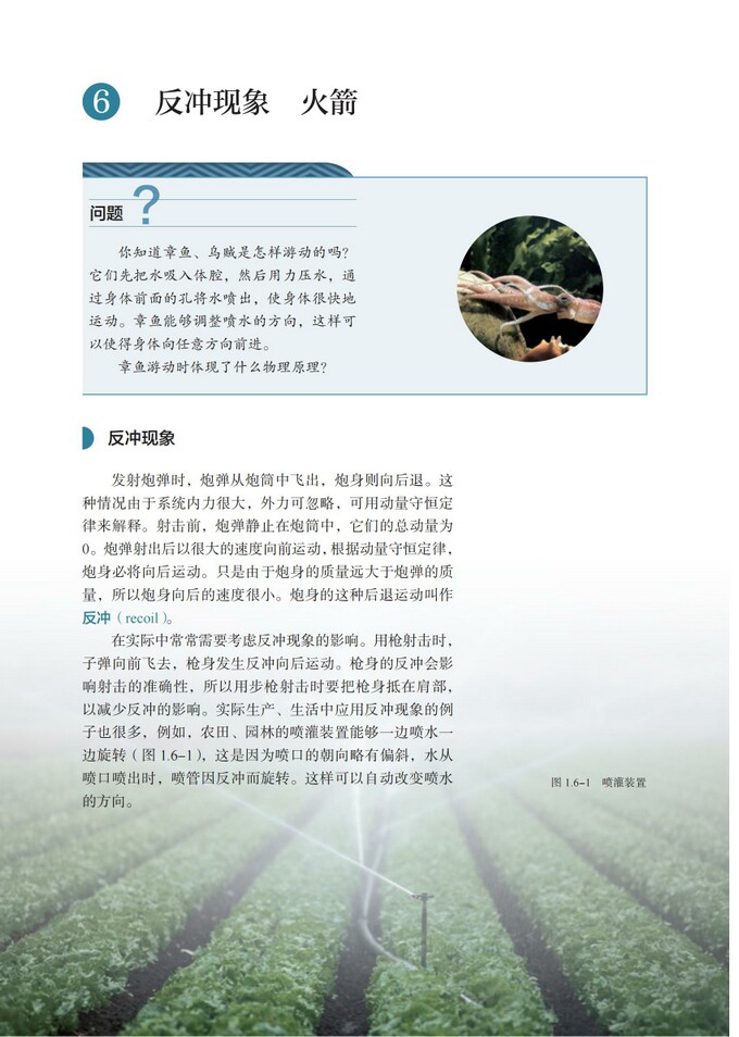 第1张