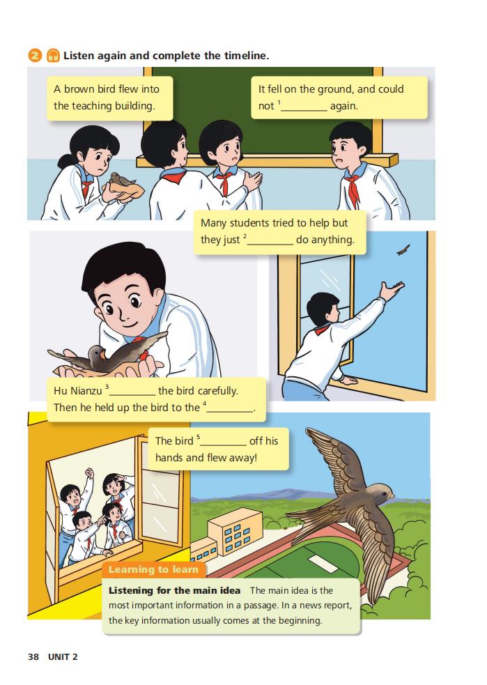 第9张